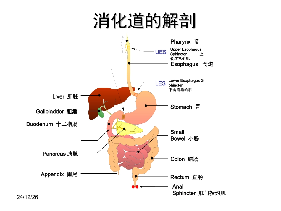 促胃动力药剖析_第2页