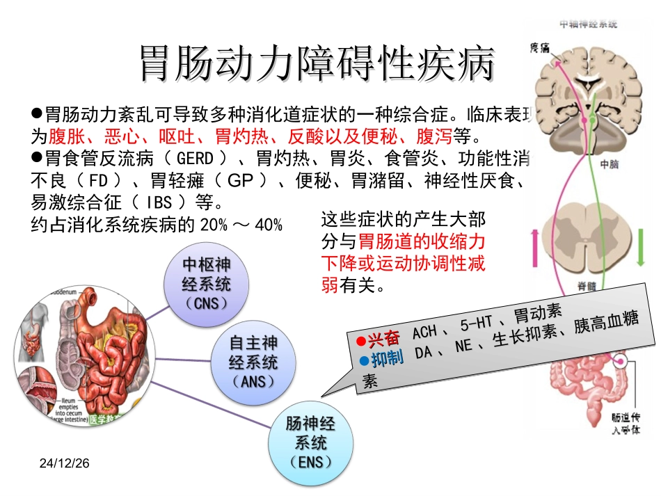 促胃动力药剖析_第3页