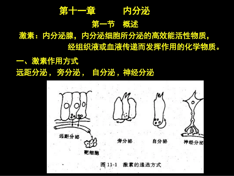促甲状腺激素释放激素_第1页
