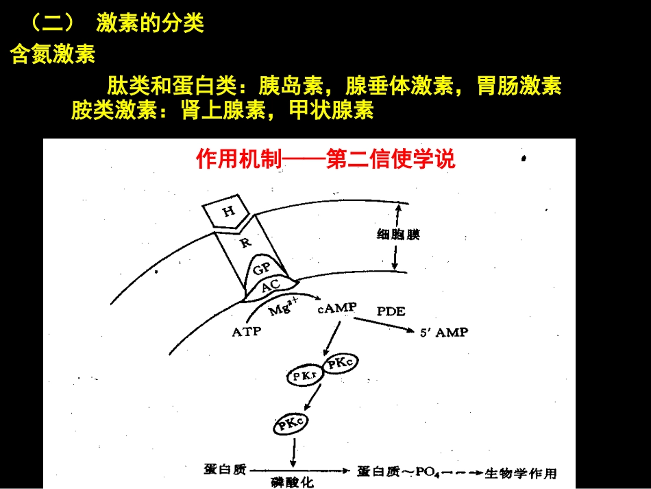 促甲状腺激素释放激素_第2页