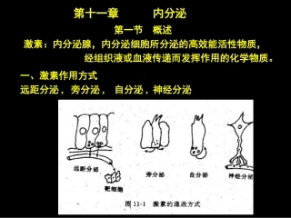 促甲状腺激素释放激素