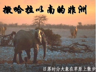 撒哈拉以南的非洲