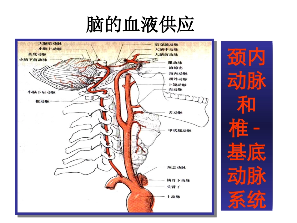 依达拉奉减轻脑水肿和出血_第2页
