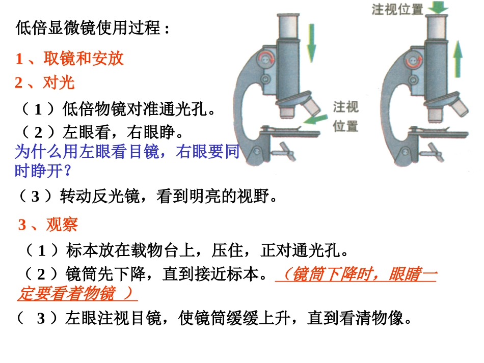 使用高倍显微镜观察几种细胞_第3页