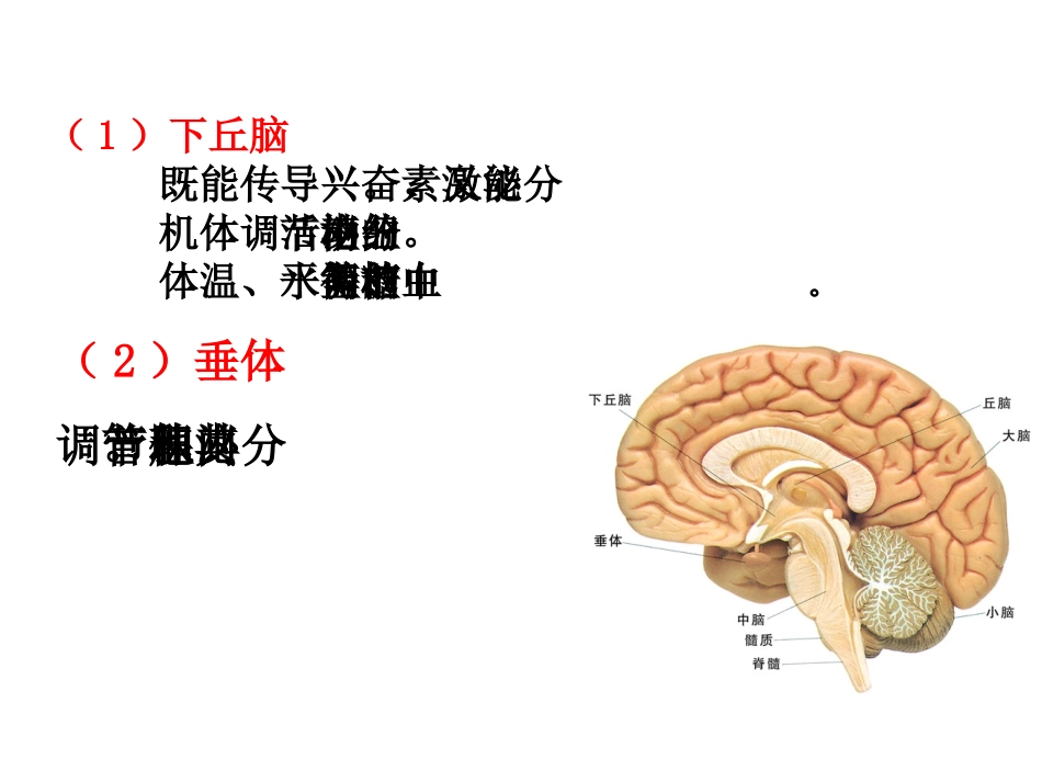 体液调节ppt_第3页