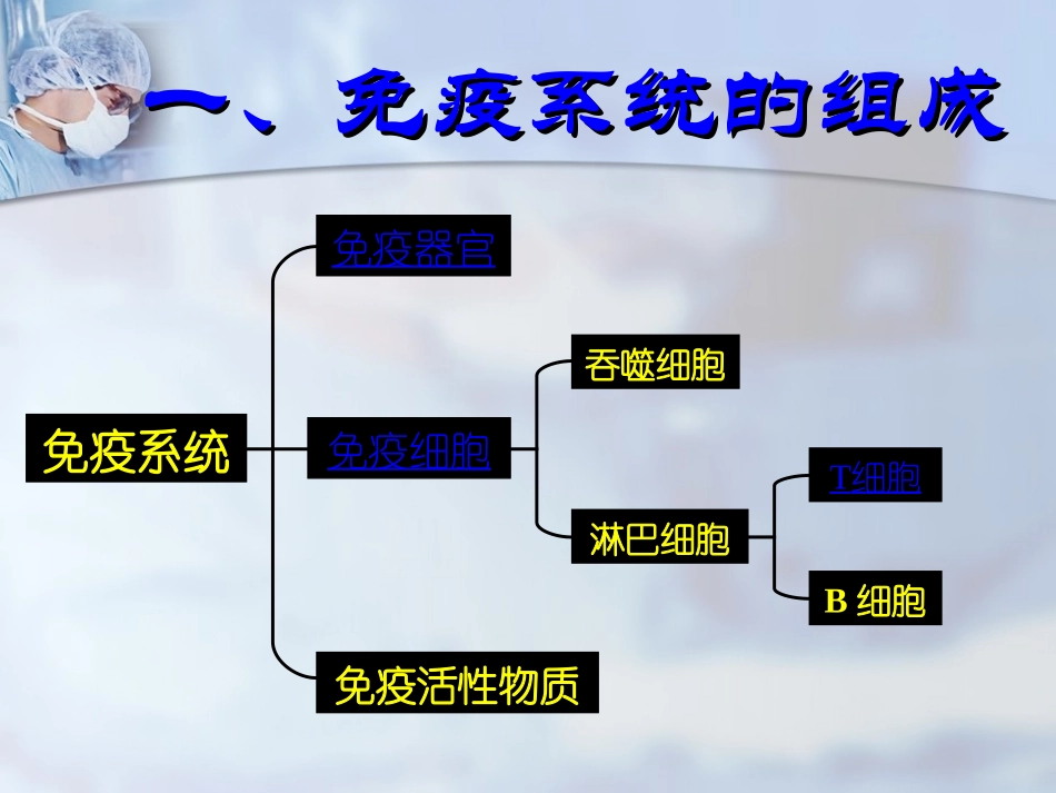 体液免疫的过程抗原吞噬细胞_第3页
