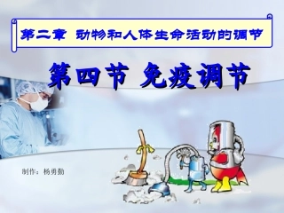体液免疫的过程抗原吞噬细胞