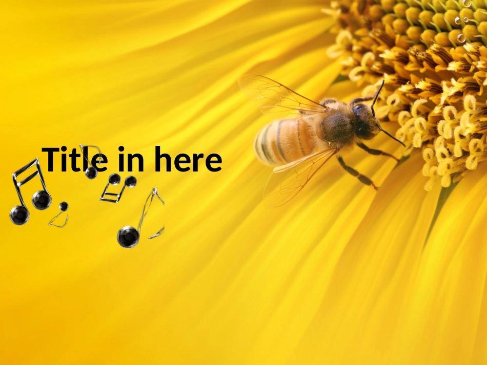 黄色向日葵的世界_第2页