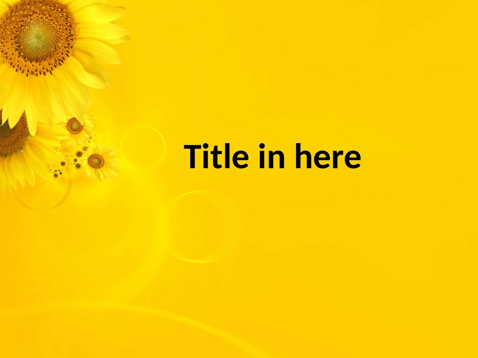 黄色向日葵的世界_第3页