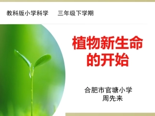 官塘周先来_植物新生命的开始