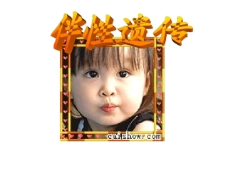 伴性遗传讲课