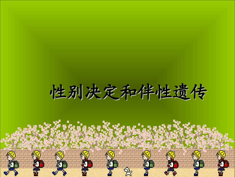 伴Y染色体遗传病外耳道多毛症2_第1页