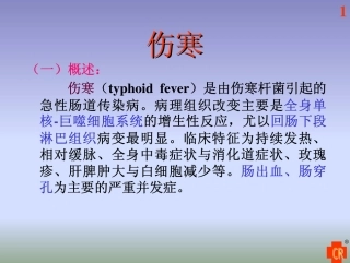 伤寒07.6.1