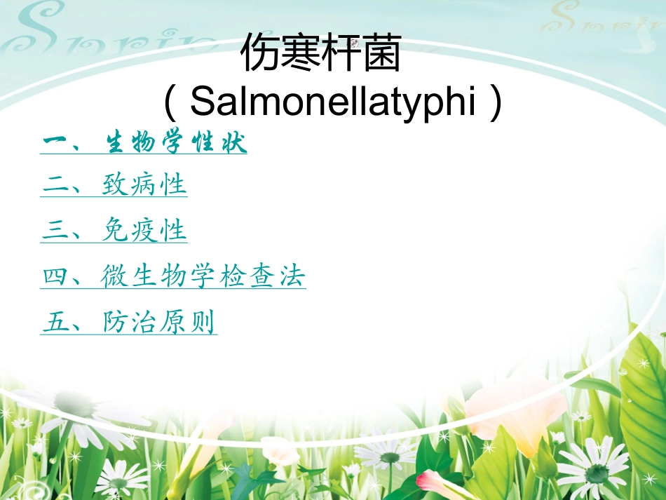 伤寒杆菌   Salmonellatyphi_第2页