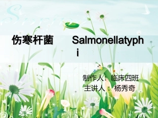 伤寒杆菌   Salmonellatyphi
