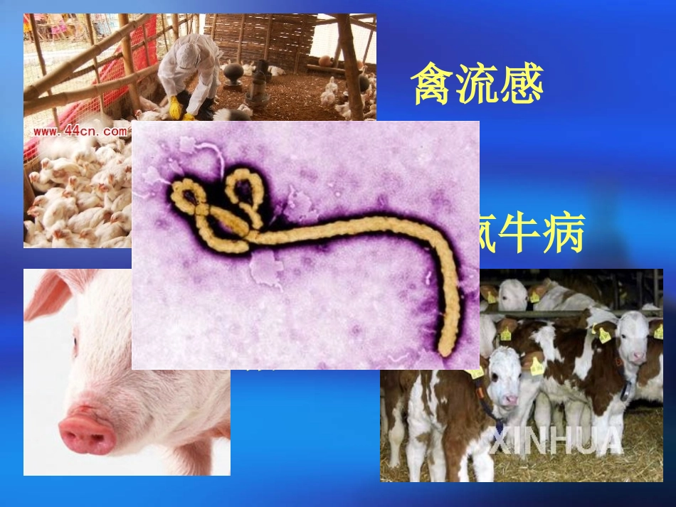传染病防治法2013分析_第3页