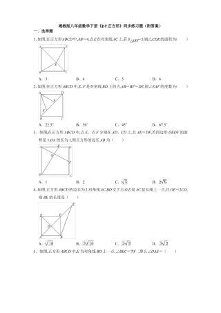 湘教版八年级数学下册正方形同步练习题版含答案