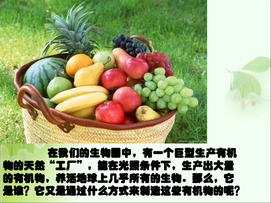 绿色植物是生物圈中有机物的制造者_第2页