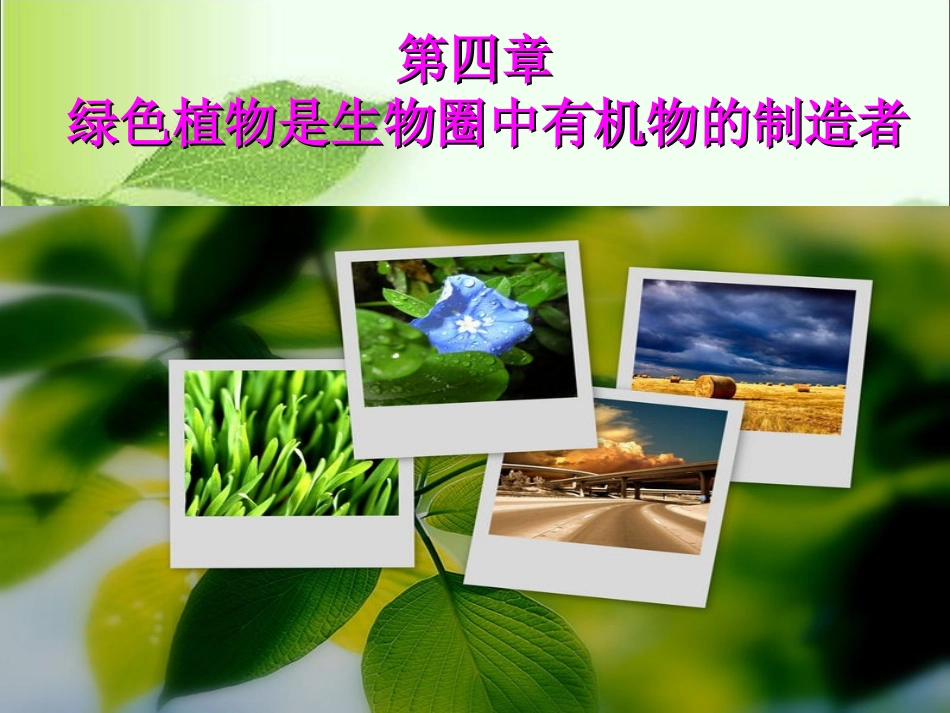绿色植物是生物圈中有机物的制造者_第3页