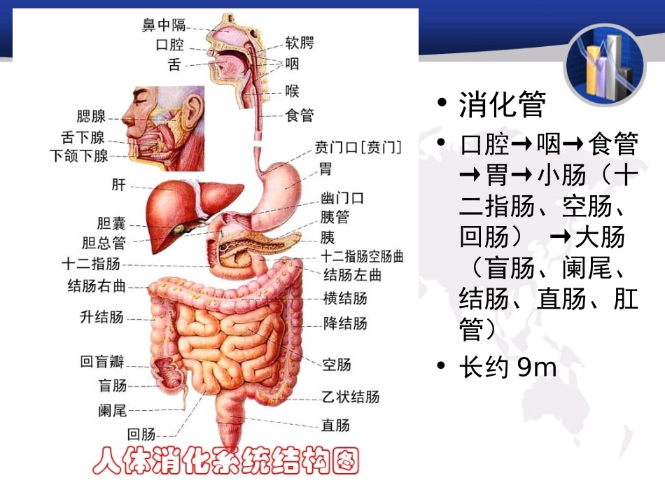 传染病-尹慧丝2015讲义_第2页