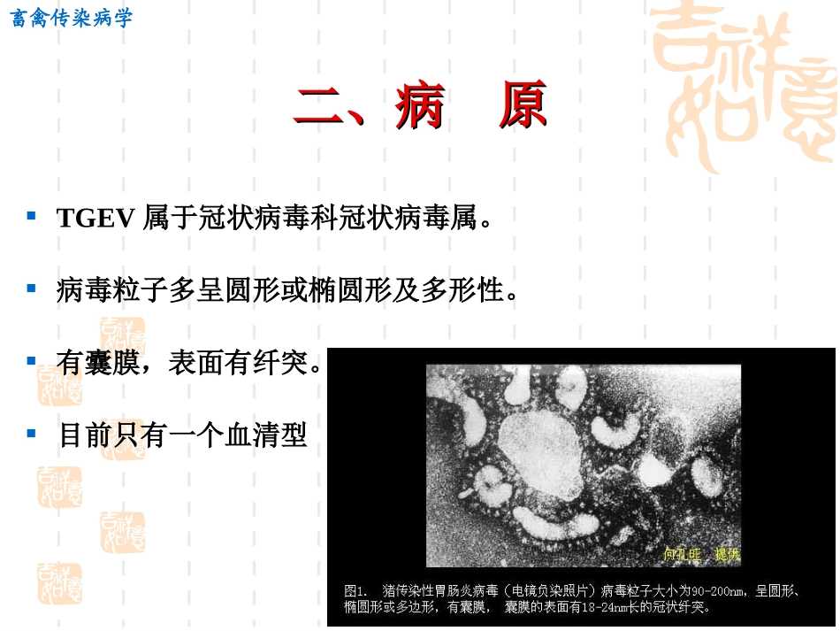 传染性胃肠炎._第3页