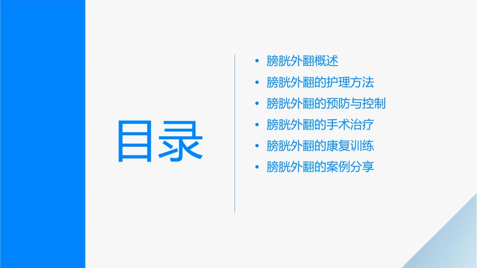 膀胱外翻护理课件_第2页