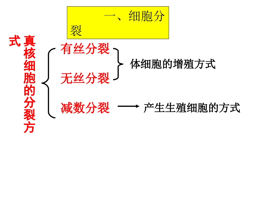 会考复习三细胞分裂衰老凋亡癌变要点_第3页