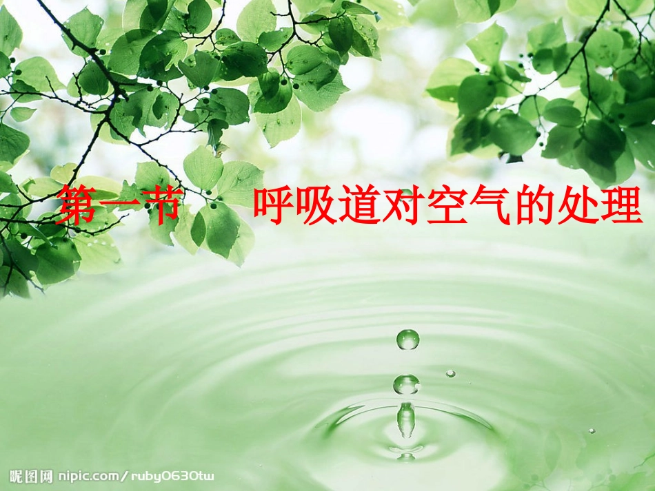 优秀第三章第1节-呼吸道对空气的处理1_第1页