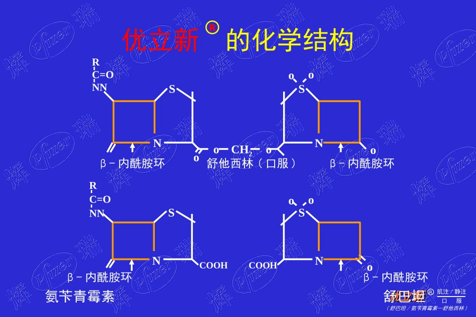 优立新-一线首选抗感染的合理用药_第2页