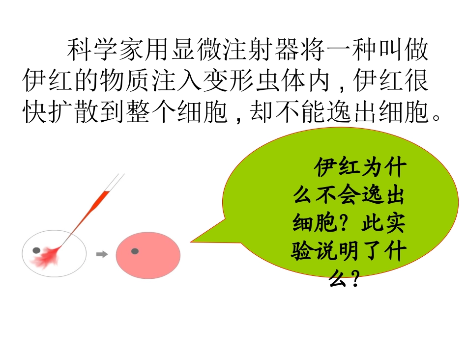 伊红为什么不会逸出细胞_第3页