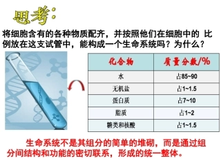 伊红为什么不会逸出细胞