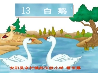 四年级语文上册第四组13白鹅第二课时课件 (2)