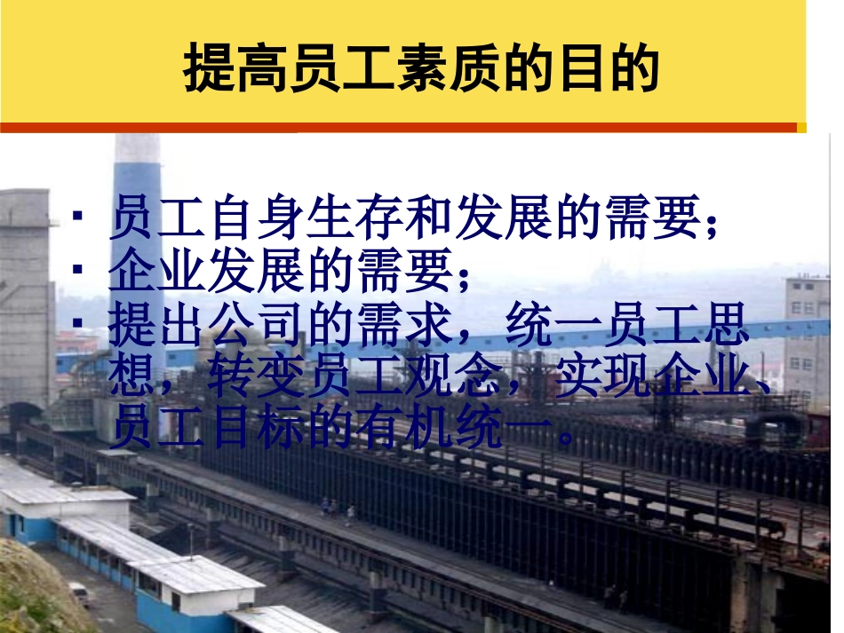 企业员工应具备的素质-肖良丰_第2页