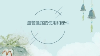 血管通路的使用和课件