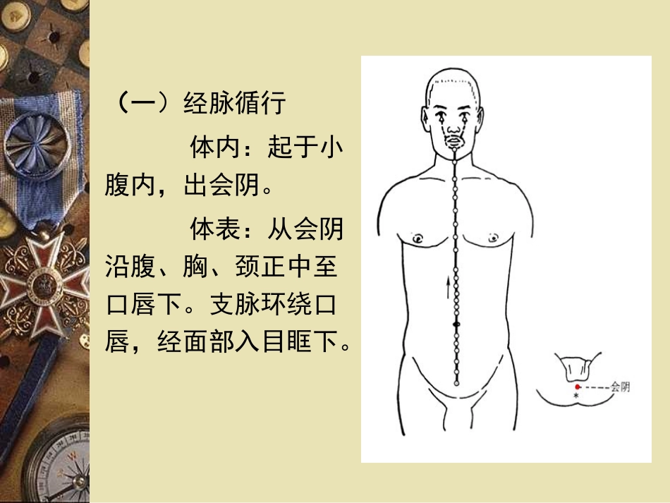 任脉与腧穴概要_第3页