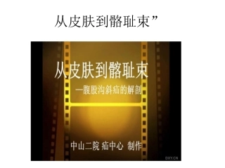 从皮肤到骼耻束
