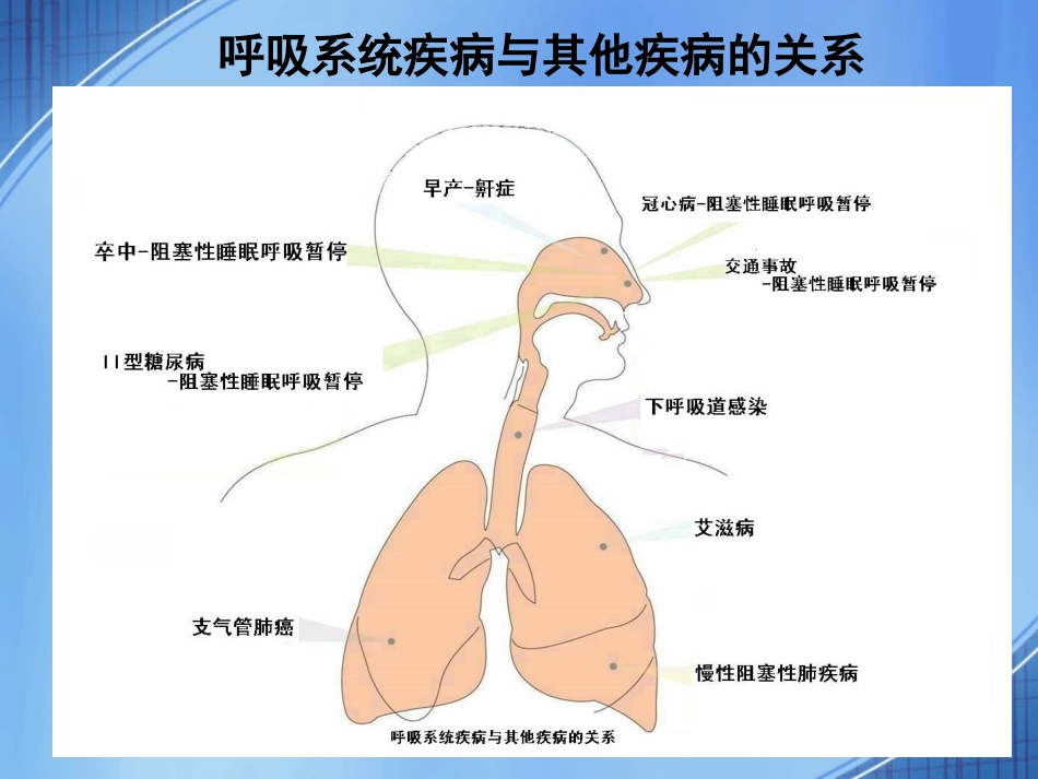 从WHO最近发布的全世界人口全因死亡率排序来看呼吸科医生的使命、责任和担当(精)_第3页