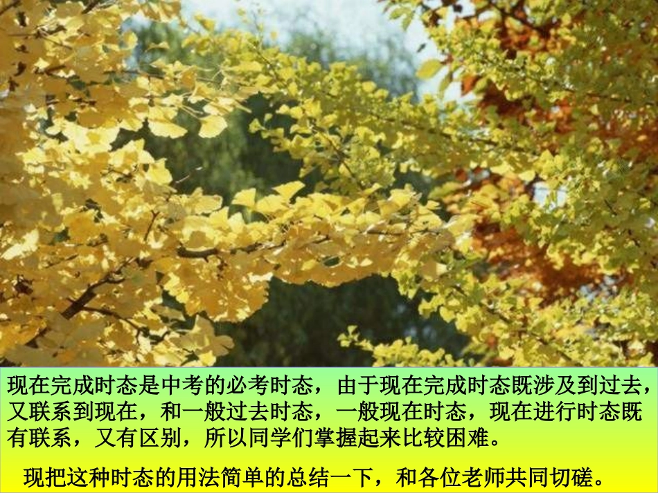 现在完成时课件2_第1页