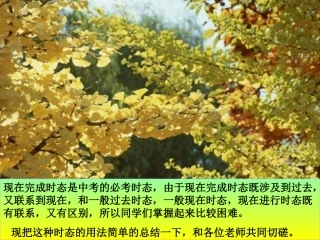 现在完成时课件2