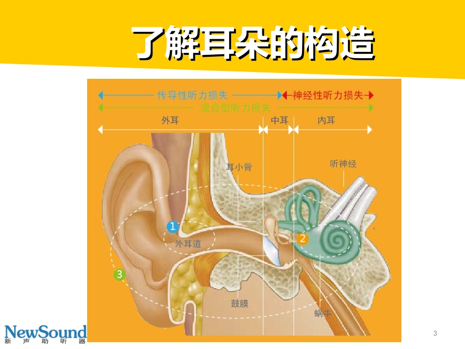 什么是听力损失及解决方法？_第3页