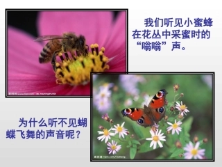 人耳听不见的声音1