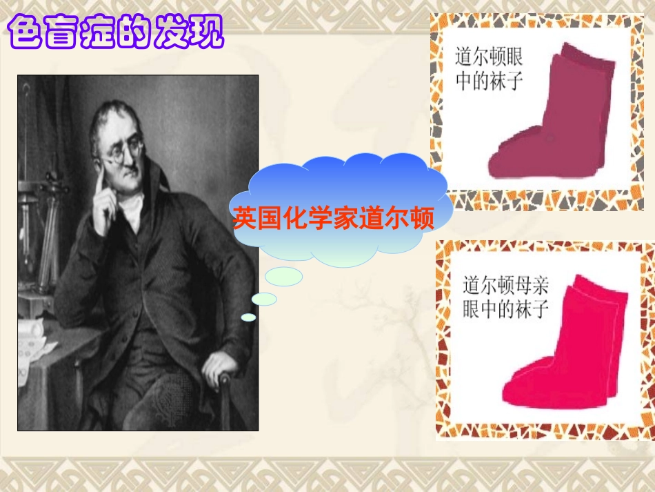 人类的伴性遗传_第3页