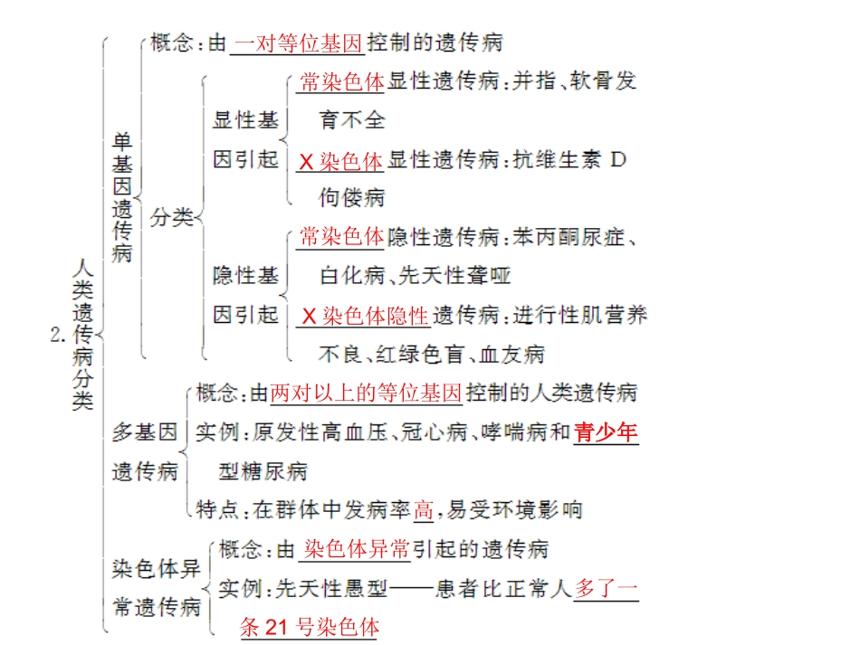 人类的遗传病---一轮复习_第1页