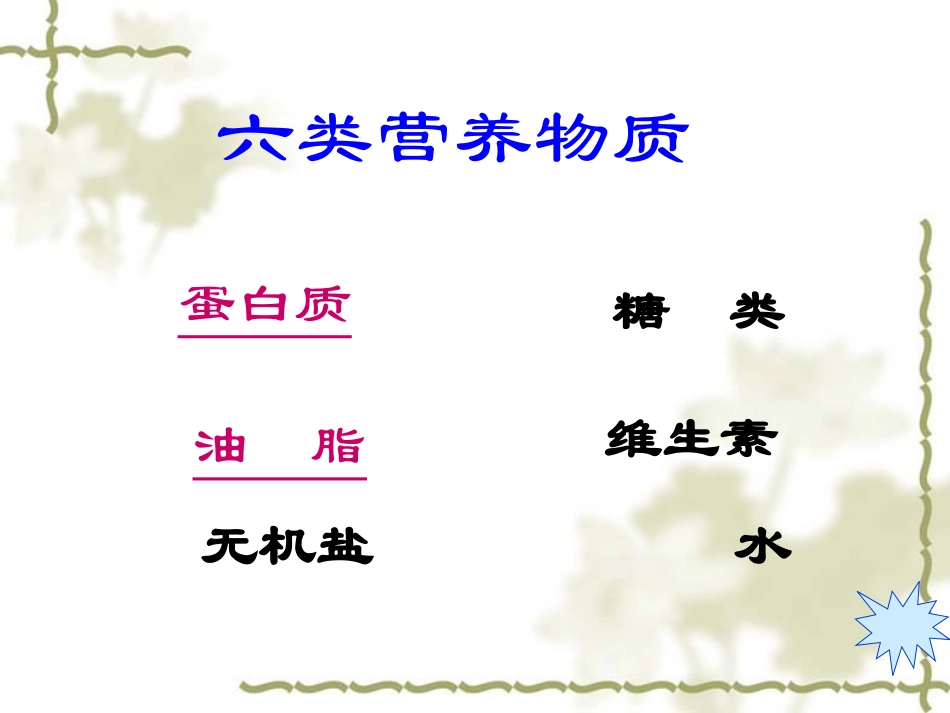 人类重要的营养物质1._第3页