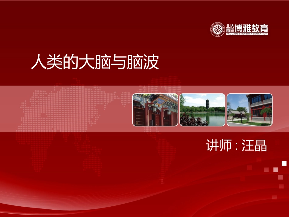 人类的大脑与脑波_第1页