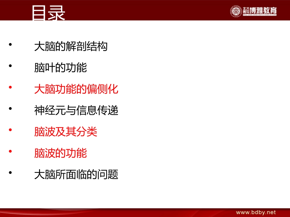 人类的大脑与脑波_第2页