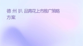 德州扒鸡贡品青花上市推广策略方案课件