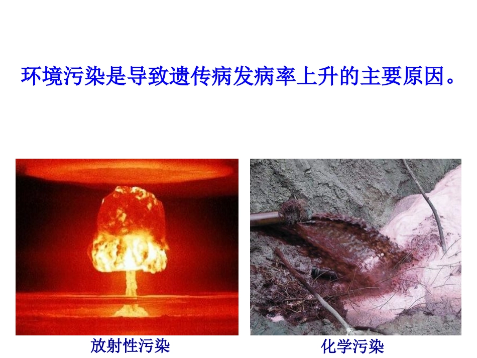 人类遗传病的主要类型_第2页