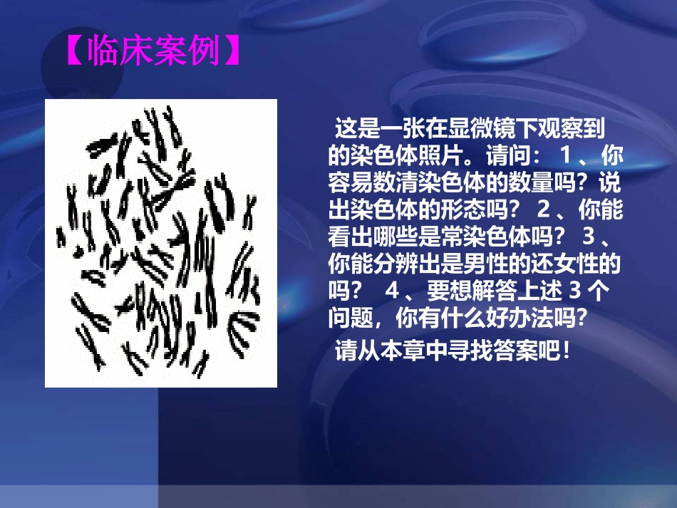 人类染色体与染色体病解读_第3页