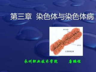 人类染色体与染色体病解读